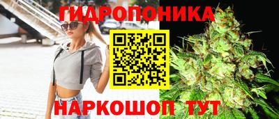 молекула духа Бузулук