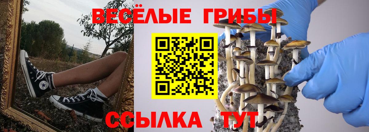 Галлюциногенные грибы Psilocybine cubensis  Вход с VPN  Ливны 